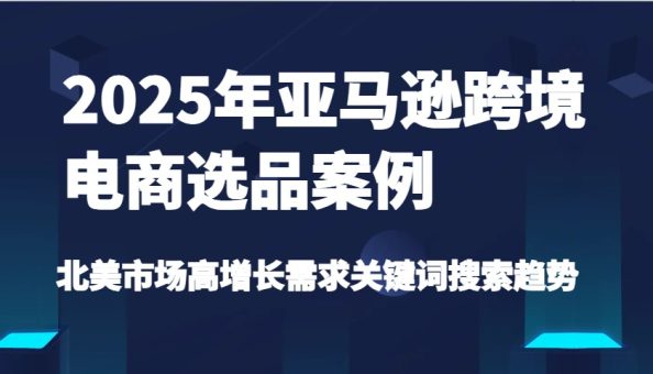 2025年亚马逊平台跨境电商选品实例-北美地区高速增长要求关键字搜索发展趋势(升级)-韬哥副业项目资源网