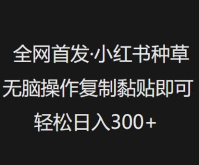 独家首发，小红书种草没脑子实际操作，拷贝粘贴就可以，轻轻松松日入3张-韬哥副业项目资源网