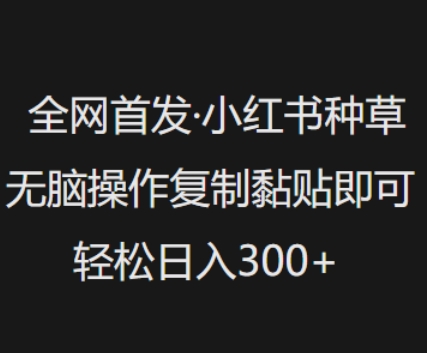 独家首发，小红书种草没脑子实际操作，拷贝粘贴就可以，轻轻松松日入3张-韬哥副业项目资源网