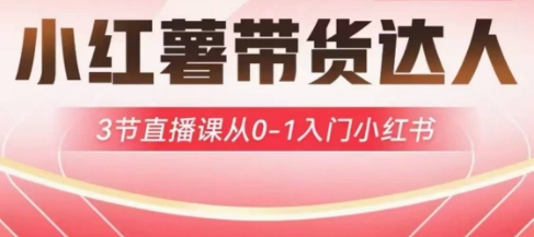 小红书主播带货启航计划，3节视频课堂从0-1新手入门小红书的-韬哥副业项目资源网