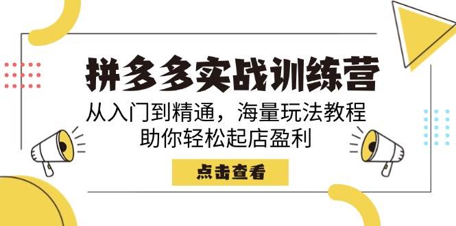 拼多多平台实战演练夏令营，实用教程，大量游戏玩法实例教程，帮助你轻轻松松出单赢利-韬哥副业项目资源网