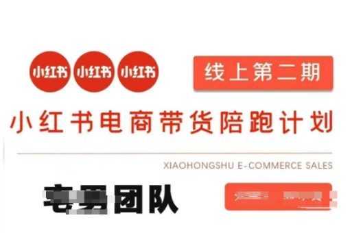 小红书电商卖货课2期,月盈利20个小红书电商的是一手货源,无货源电商,虚拟商品,付钱投流等全套游戏玩法-韬哥副业项目资源网