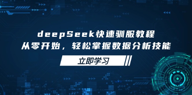 （14536期）deepSeek迅速收服实例教程，从零开始，快速掌握数据分析技能-韬哥副业项目资源网