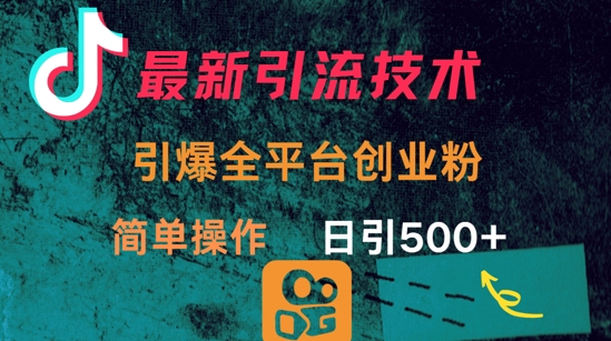 最新引流方法,引爆全平台的一个创业粉,简单操作日引300
