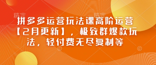 拼多多运营游戏玩法课高级经营【2月升级】，完美群爆品游戏玩法，轻付钱无穷拷贝等-韬哥副业项目资源网