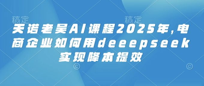 天诺老胡AI课程内容2025年,电子商务企业怎样用deeepseek完成降本提效-韬哥副业项目资源网