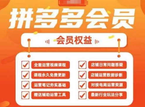 2025拼多多运营实战演练课，40节全过程课堂教学，遮盖拼多多运营全链路营销-韬哥副业项目资源网