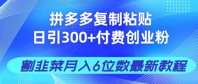 （14232期）拼多多复制粘贴日引300+付费创业粉，割韭菜月入6位数最新教程！-韬哥副业项目资源网