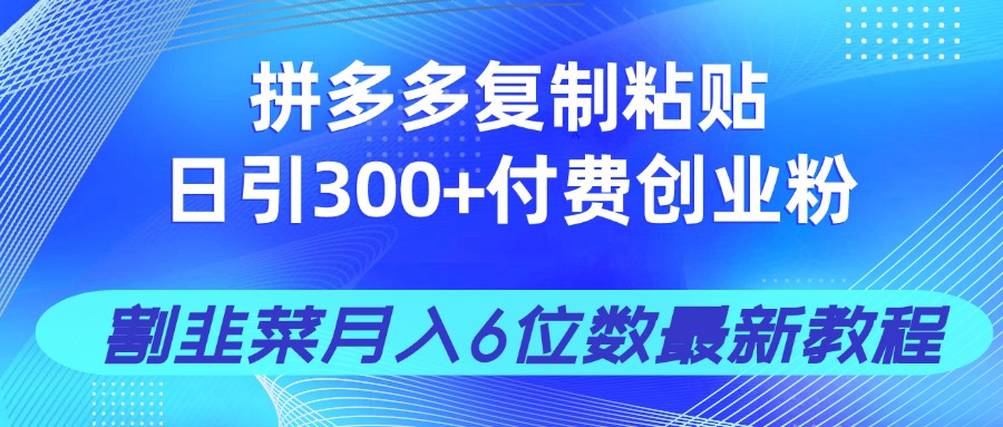 （14232期）拼多多复制粘贴日引300+付费创业粉，割韭菜月入6位数最新教程！-韬哥副业项目资源网