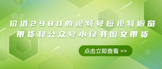 价值2980的视频号短视频橱窗带货和公众号小绿书图文带货-韬哥副业项目资源网