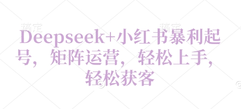 Deepseek 小红书的爆利养号，引流矩阵经营，快速上手，轻轻松松拓客-韬哥副业项目资源网