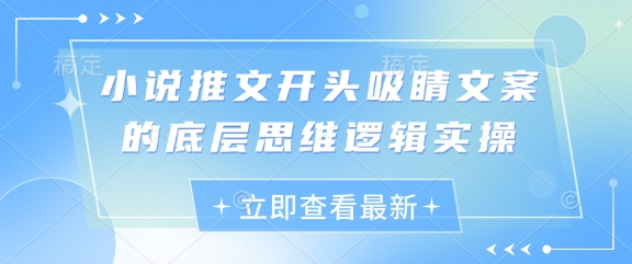 小说集推文开头引人注意文案的思维模式逻辑性实际操作-韬哥副业项目资源网