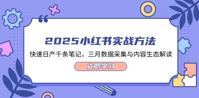 2025小红书的实战演练方式，迅速日产万条手记，三月数据收集与平台生态讲解-韬哥副业项目资源网