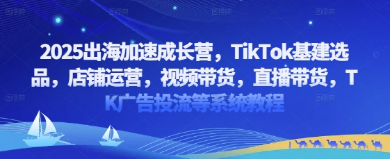 2025出航加速成长营，TikTok基本建设选款，店铺管理，短视频带货，直播卖货，TK广告宣传投流等系统教程-韬哥副业项目资源网