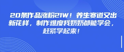 20条作品涨粉21W!养生赛道又出新花样,制作难度我奶奶都能学会,赶紧学起来