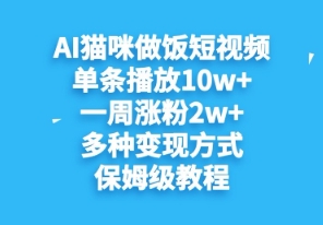 AI猫猫煮饭小视频,一条播放视频10w ,一周升分2w ,多种多样变现模式,家庭保姆级实例教程-韬哥副业项目资源网
