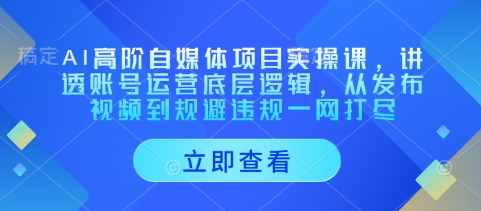 AI高阶自媒体项目实操课，讲透账号运营底层逻辑，从发布视频到规避违规一网打尽-韬哥副业项目资源网