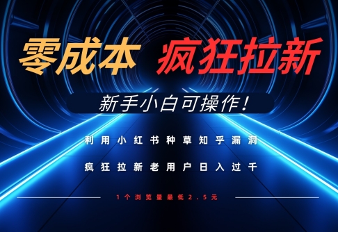 运用小红书种草知乎问答系统漏洞，零成本玩命引流日入多张，新手入门易操作-韬哥副业项目资源网