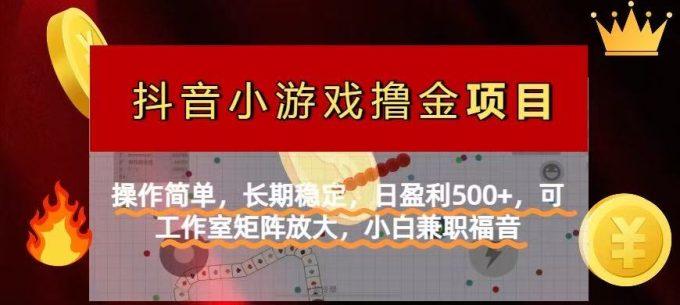 （14290期）【抖音小游戏外国投资者计划项目】使用方便，持续稳定，日赢利500 ，可工作中…-韬哥副业项目资源网
