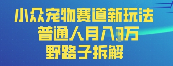 小众宠物赛道新玩法，普通人月入过1W的野路子拆解-韬哥副业项目资源网