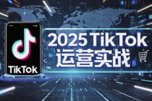 2025TikTok网店运营,把握TikTok店铺管理关键方法,实现低成本高转化-韬哥副业项目资源网