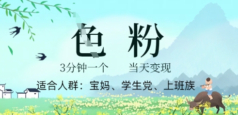 小视频S粉方案，3 min原创设计，当日转现-韬哥副业项目资源网