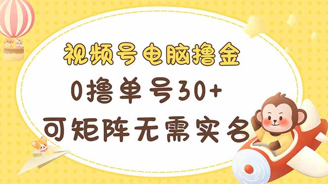(14220期)微信视频号计算机撸金 0撸运单号30 可引流矩阵 不用实名认证多号多到-韬哥副业项目资源网