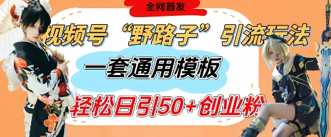 微信视频号“歪门邪道”游戏玩法，发表评论玩命截留，一套模版单日运单号引流方法50 自主创业粉-韬哥副业项目资源网