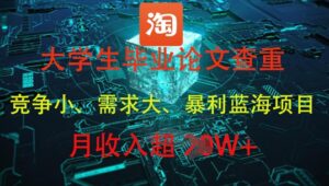 在校大学生论文查重，爆利蓝海项目，月收益过1W-韬哥副业项目资源网