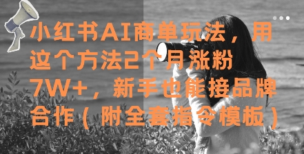 小红书的AI商单游戏玩法，用这种方法2个月增粉7W ，初学者也能接品牌合作(附整套命令模版)-韬哥副业项目资源网