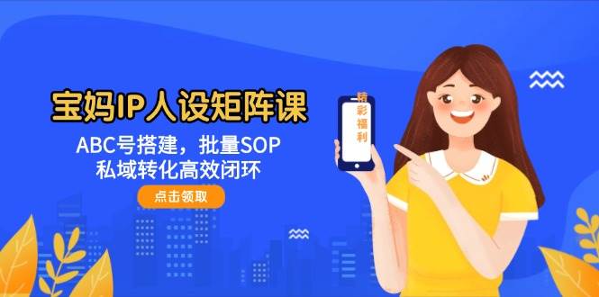 宝妈妈IP人物关系引流矩阵课：ABC号构建，大批量SOP，私域转化高效率闭环控制-韬哥副业项目资源网