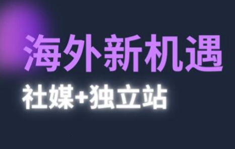 2025出海新机遇(社媒 独立站),海外新机遇,实现独立站的高效运营与出海