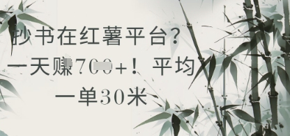 抄书在小红薯平台?平均一单30米,一天收益几张!