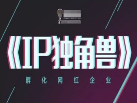 IP独角兽企业,卵化网络红人公司,ip实例教程-韬哥副业项目资源网