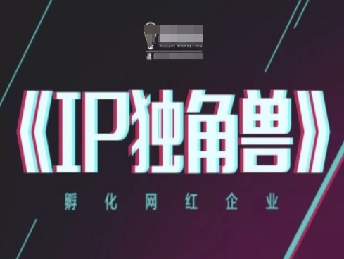 IP独角兽企业，卵化网络红人公司，ip实例教程-韬哥副业项目资源网