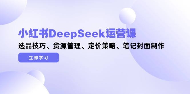 （14748期）小红书的DeepSeek运营课，选款方法、一手货源管理方法、价格策略、手记封面设计-韬哥副业项目资源网