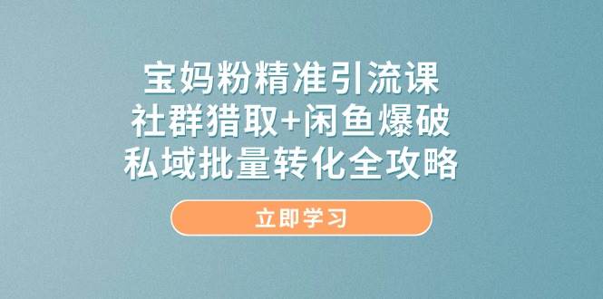 宝妈粉精准引流方法课，社群营销捕获 闲鱼平台工程爆破，公域大批量转换攻略大全-韬哥副业项目资源网