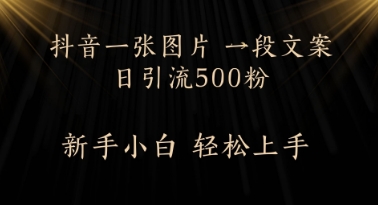 每日2min，抖音一张照片 一段创意文案日引流方法500粉-韬哥副业项目资源网