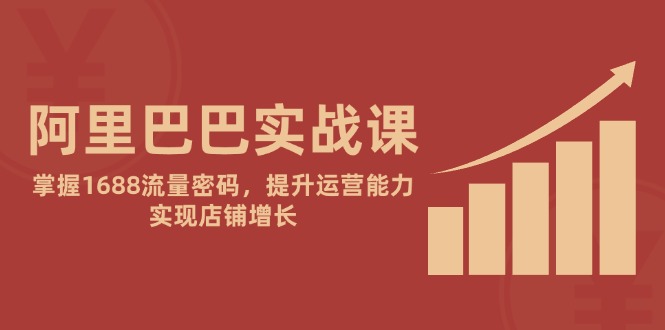 （14830期）阿里实战演练课：把握1688总流量登陆密码，提高经营能力，完成店面提高-韬哥副业项目资源网