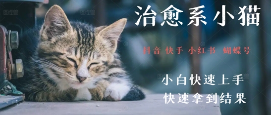 拆解，疯狂火爆！抖音，小红书，视频号小猫治愈的视频，轻松制作+快速拿到结果-韬哥副业项目资源网