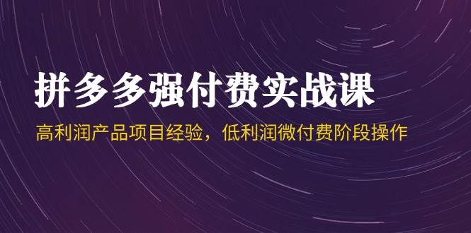 拼多多强付费实战课-44期，高利润产品项目经验，低利润微付费阶段操作-韬哥副业项目资源网