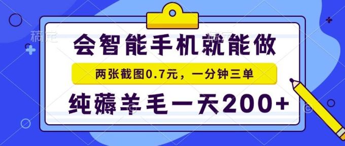 （15209期）2025年零撸手机项目 二十秒一单 纯薅羊毛 一天200+做就有-韬哥副业项目资源网