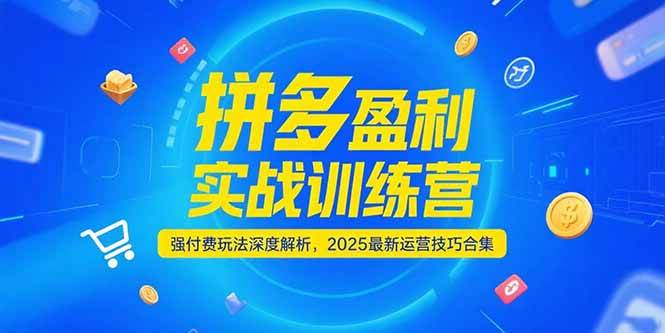 （15183期）拼多多盈利实战训练营，强付费玩法深度解析，2025最新运营技巧合集-韬哥副业项目资源网