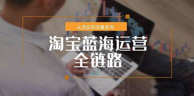 （15160期）淘宝蓝海运营全链路，从选品到流量变现，小类目突围完整方案-韬哥副业项目资源网