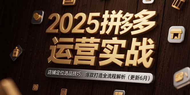 (15235期)2025拼多多运营实战:店铺定位选品技巧,爆款打造全流程解析(更新6月)-韬哥副业项目资源网