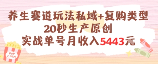 养生赛道玩法私域+复购类型，20秒生产原创实战单号月收入5k+-韬哥副业项目资源网