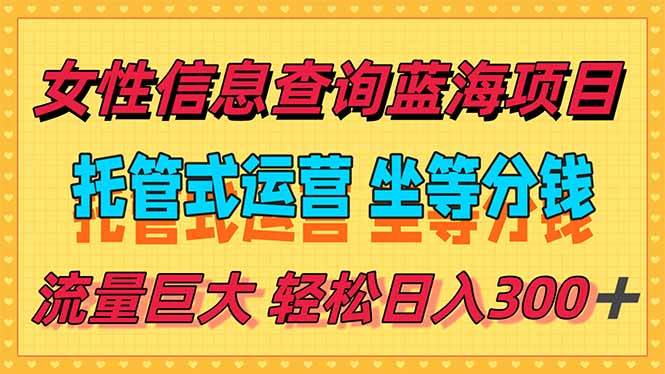 （15216期）稳定日入300＋，小众信息查询蓝海项目，全程懒人式托管，解放你的时间-韬哥副业项目资源网
