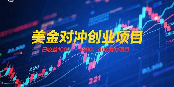 （15187期）美金对冲创业项目，日收益 1000 – 4000，小众暴力项目-韬哥副业项目资源网