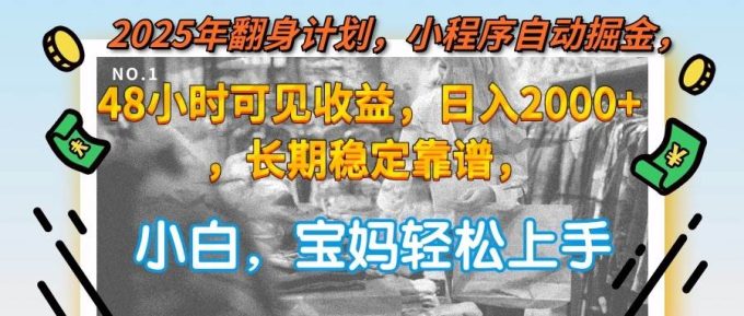 （15082期）2025年翻身计划，小程序自动掘金48小时可见收益，日入2000+，长期稳定…-韬哥副业项目资源网