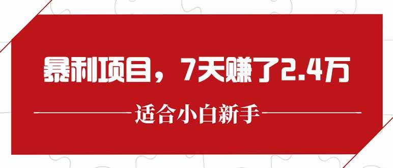 (15228期)最新暴利项目,每单收益轻松在300以上,7天赚了2.4万-韬哥副业项目资源网